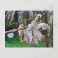 Toujours se réjouir accrocher carte postale