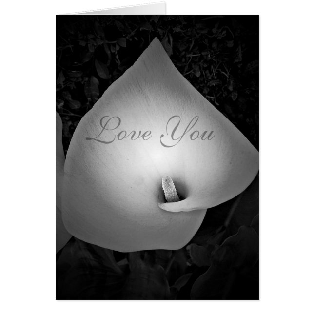 Toujours & Toujours,Amour_ (Devant)