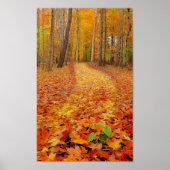 Toujours vert, impression (Devant)