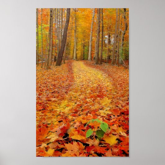 Toujours vert, impression (Devant)