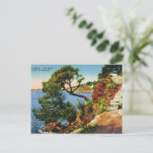 Toulon, Pet Brun, 1924 Briefkaart (Staand voorkant)