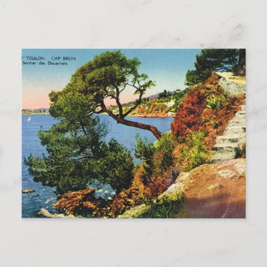 Toulon, Pet Brun, 1924 Briefkaart (Voorkant)