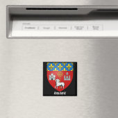 Toulouse France Kitchen Magnet Magneet (Insitu (Vaatwasser))
