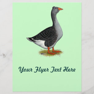 Toulouse gans Kuif Flyer