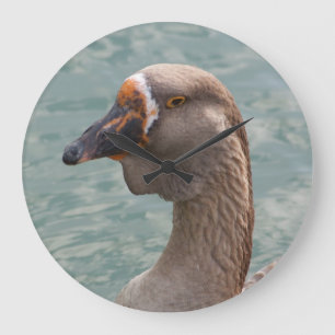 Toulouse Goose Grote Klok