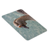 Toulouse Goose Magneet (Rechterzijde)