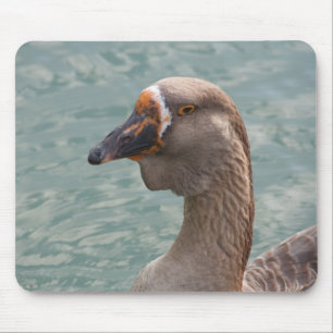 Toulouse Goose Muismat