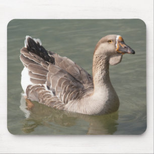 Toulouse Goose Muismat