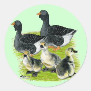 Toulouse Goose Ronde Sticker