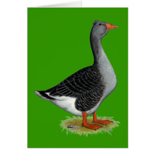 Toulouse Goose Tufted