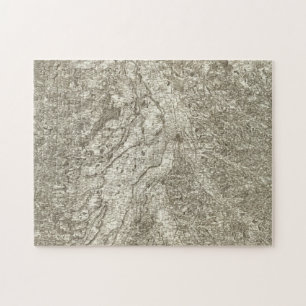 Toulouse Legpuzzel