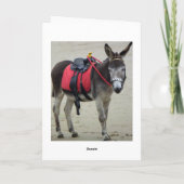 tour d'âne sur une carte de plage (Dos)