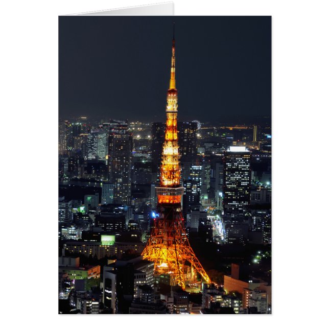 Tour de Tokyo par nuit :: (Devant)
