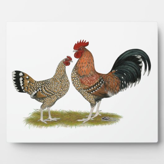 Tournaisis Bantams Fotoplaat (Voorkant)