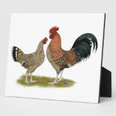 Tournaisis Bantams Fotoplaat (Zijkant)