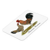 Tournaisis Bantams Magneet (Linkerzijde)