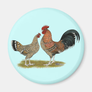 Tournaisis Bantams Magneet
