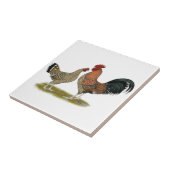 Tournaisis Bantams Tegeltje (Zijkant)