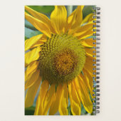 Tournée d'été (Dos)