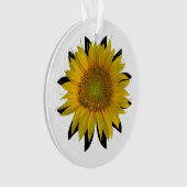 Tournesol (devant)