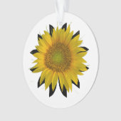 Tournesol (devant)