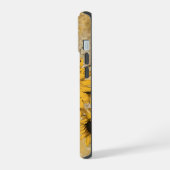 Tournesol (Côté gauche)