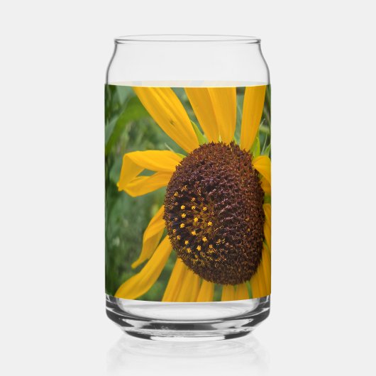 Tournesol (Recto)