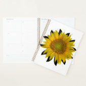 Tournesol (Devant avec enveloppe)