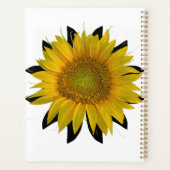 Tournesol (Dos)
