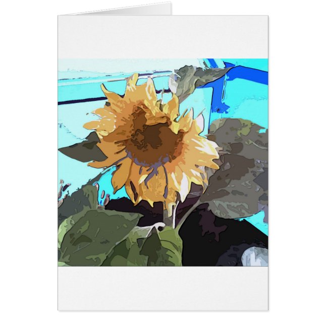 Tournesol 14 (Devant)