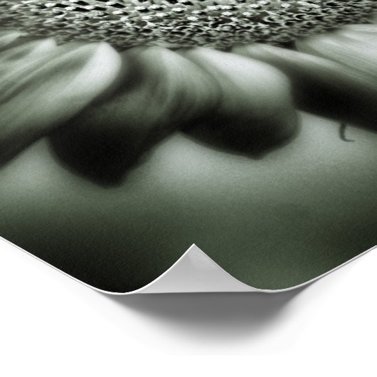 Tournesol 1 Poster Carré Imprimer (Coin)