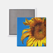 Tournesol - Aimant (Recto/Verso)