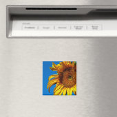 Tournesol - Aimant (In Situ (Lave-vaisselle))