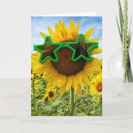 Tournesol Anniversaire Avec Carte De Lunettes De S (Devant)