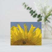 Tournesol avec carte postale (Debout devant)