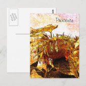 tournesol, carte postale de provence (Devant / Derrière)
