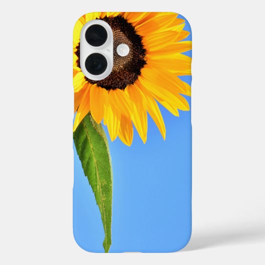 Tournesol contre ciel bleu coque iphone (Verso)