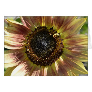Tournesol dans la carte d'automne