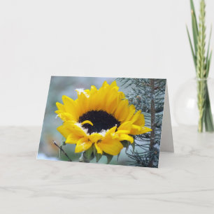 Tournesol dans la neige obtenir carte de puits