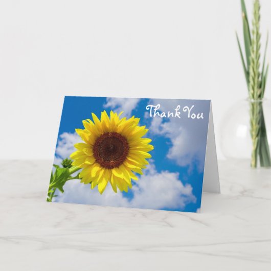 Tournesol dans le ciel, Merci (Devant)