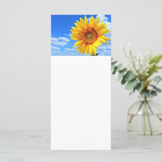 Tournesol et Abeilles sur le Menu d'Été de Ciel Bl (Debout devant)