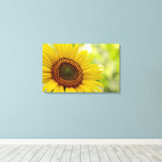 Tournesol face au soleil Toile enveloppée (Insitu (Plancher de Bois))
