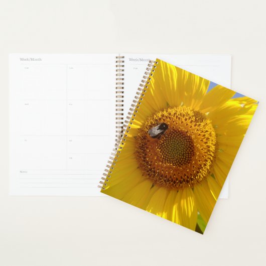 Tournesol jaune (Devant avec enveloppe)