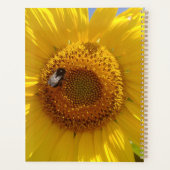 Tournesol jaune (Dos)