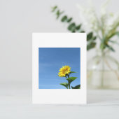 Tournesol jaune, Carte postale du ciel bleu (Debout devant)