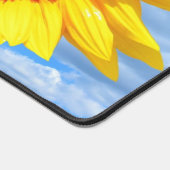 Tournesol jaune et abeilles sur le ciel bleu (Coin)