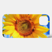 Tournesol jaune et abeilles sur le ciel bleu coque (Verso (horizontal))