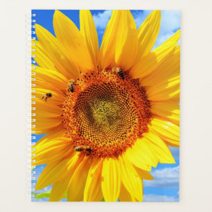 Tournesol jaune et abeilles sur le ciel bleu - Jou