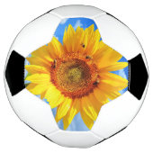 Tournesol jaune et abeilles sur le ciel bleu - Jou (Tourné)