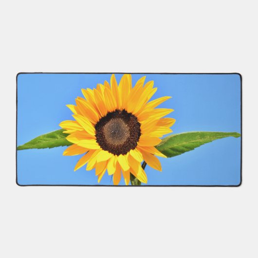 Tournesol jaune sur Ciel bleu (Recto)